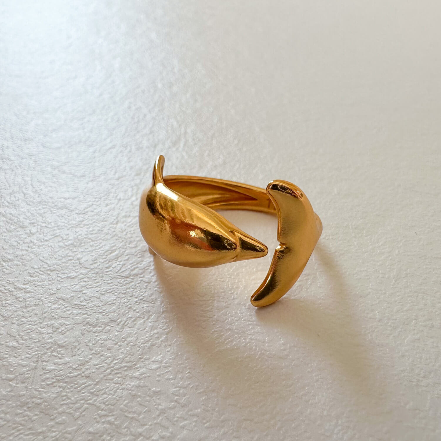 Dolphin ring 🐬